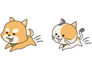 走り回るペットの犬と猫