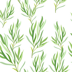 Seamless pattern with tarragon leaves. Botanical illustration. Vector