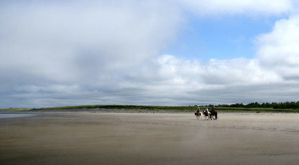 Horse riders near Seaview beach approach - 2