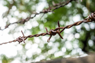 barb wire fence with rain drop as background