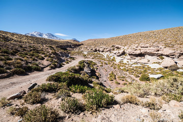 Fototapeta na wymiar Atacama desert, San Pedro Atacama, Altiplano, Chile
