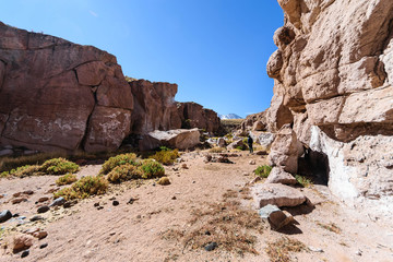 Atacama desert, San Pedro Atacama, Altiplano, Chile