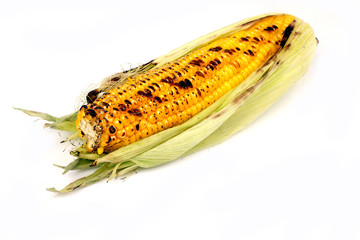 corn grilled on a white background