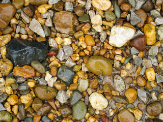nature beach rock.