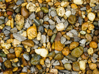 nature beach rock.