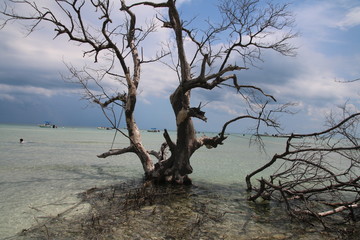 Sugarloaf Key Florida