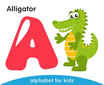 Pink letter A and green Alligator. English alphabet with animals. Cartoon characters isolated on white background. Flat design. Zoo theme. Colorful vector illustration for kids.