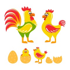 Set of rooster, hen, chick, egg and broken egg. Chicken family. Cartoon characters on white background. Flat design. Isolated objects. Colorful vector illustration.
