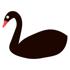 vector illustration of black swan