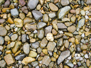 nature beach rock.