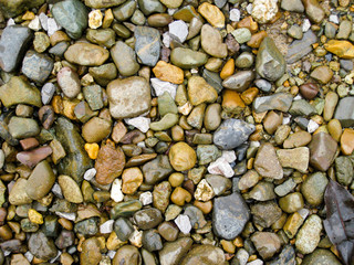 nature beach rock.