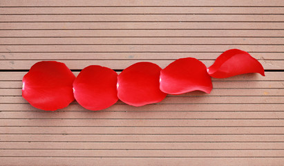 Row of beautiful red rose petals on wood background.