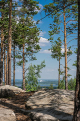 Pines on the rocks against the blue sky and the city in the distance