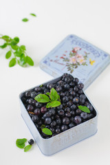 Blueberries with leaves in a metallic blue box on a white background