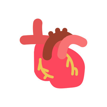 Heart Human Organ Logo Icon Design