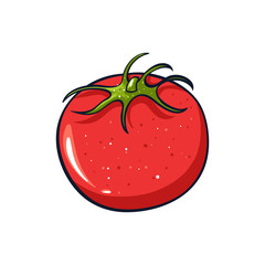 Vector hand drawn illustration of a red tomato. Coloful cartoon icon. Food art for print, web, mobile and infographics. Isolated on white background element.