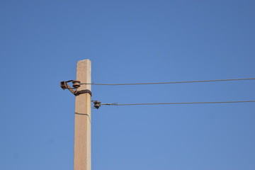 Obraz premium electricity line pole in a rural area countryside