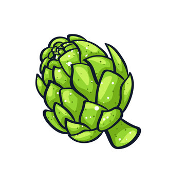 green artichoke isolated on white background clip art preview