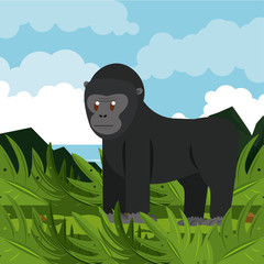Ape wild african animal in nature vector illustration graphic design