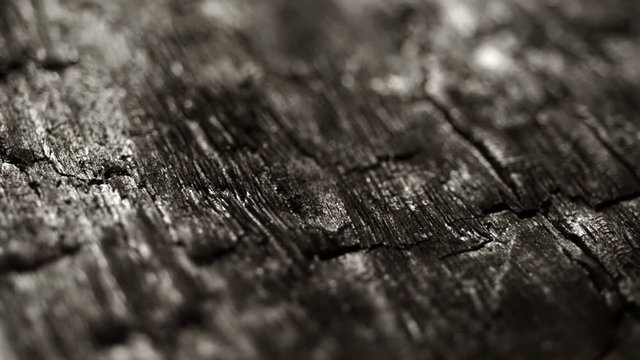 burned wood macro structure, sliding camera movement