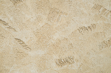 New decorative yellow plaster on wall