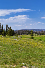 Wind River Range, Rocky Mountains, Wyoming, views from backpacking hiking trail to Titcomb Basin...