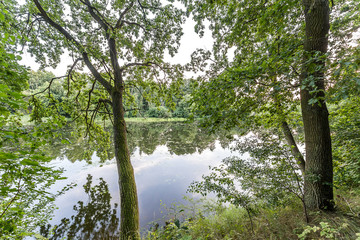 Sandy beach on sunny beautiful summer day over the lake near Bydgoszczo city, Poland