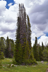 Wind River Range, Rocky Mountains, Wyoming, views from backpacking hiking trail to Titcomb Basin...