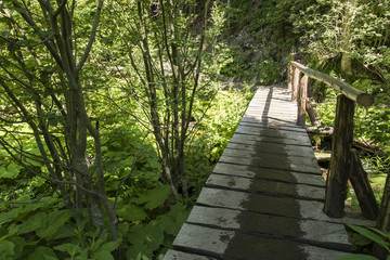 Obraz premium Wooden footbridge with a railing in the nature among the trees.