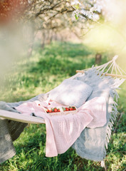 Spring Picnic in the Nature in a Blooming Garden. A Hammock with Strawberries and Flowers. Summer Mood