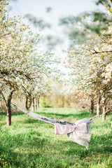 Spring Picnic in the Nature in a Blooming Garden. A Hammock with Strawberries and Flowers. Summer Mood