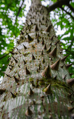 Natures Self Defence