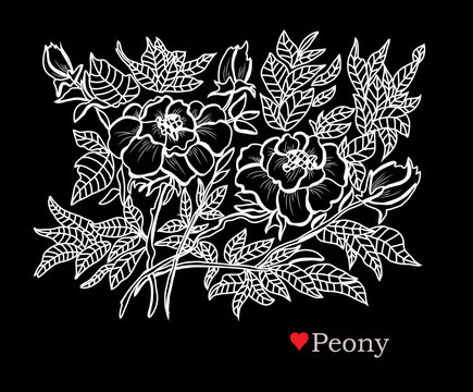 hand drawn floral decoration