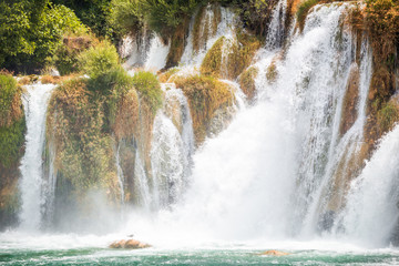 Showering seagull at the waterfall Skradinski Buk in The Krka National Park in Croatia, Europe..