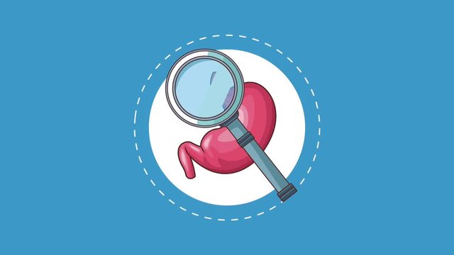 Digestive system onhuman body silhouette with bacterias icons high definition animation colorful scenes