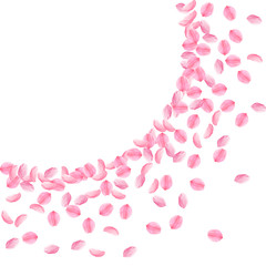 Sakura petals falling down. Romantic pink bright medium flowers. Thick flying cherry petals. Large r