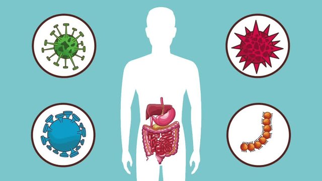Digestive system onhuman body silhouette with bacterias icons high definition animation colorful scenes