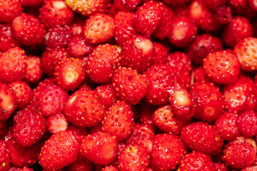 Red ripe strawberry from the forest as a background
