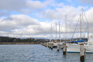 Fototapeta na wymiar Collection of sailboats docked in a marina.