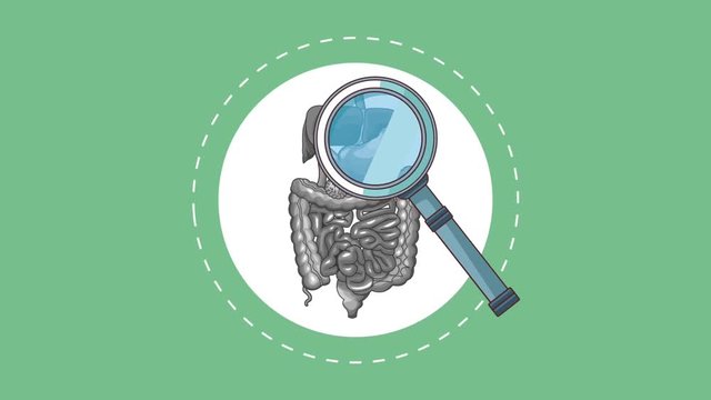 Magnifying glass checking digestive system high definition animation colorful scenes