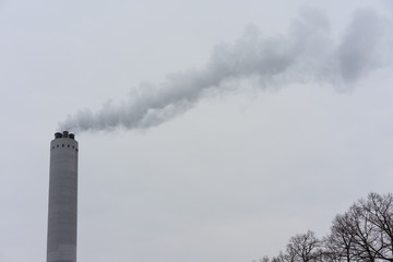 smoke from industrial chimney with tree in foreground