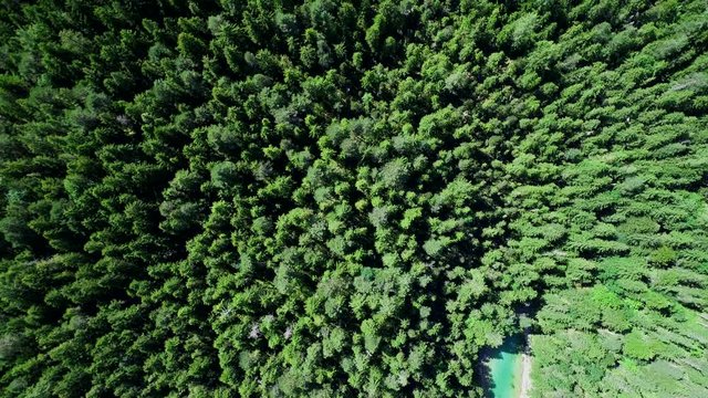 4K scenic flight of Eibsee in Bavaria on the bottom of Zugspitze the highest mountain in germany