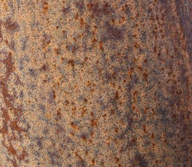 Rost
