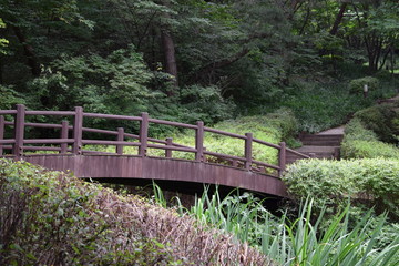 Arched Bridge over a Stream in the Woods