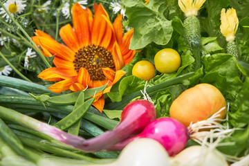Fresh organic vegetables and beautiful daisy flowers and sunflower . Healthy natural food