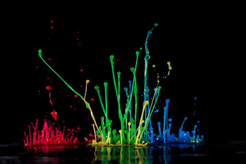 Abstract sculptures of colorful splashes of paint. Dancing liquid on a black background. Ink water splash. Color explosion.