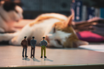 Two miniature businessman on table watching cat.