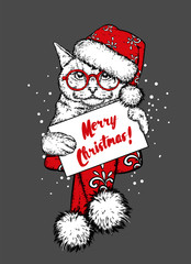 The cat in a New Year's cap and glasses. New Year's and Christmas. A cup, a lump and Christmas decorations. Vector illustration for a postcard or a poster, print for clothes. Hipster.
