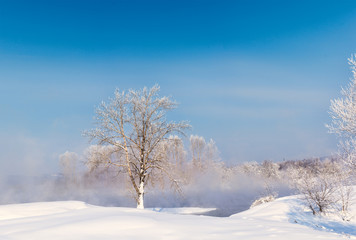 picturesque view of snow covered trees on riverside at sunrise

