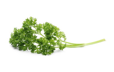 Fresh green parsley leaves isolated on white background
